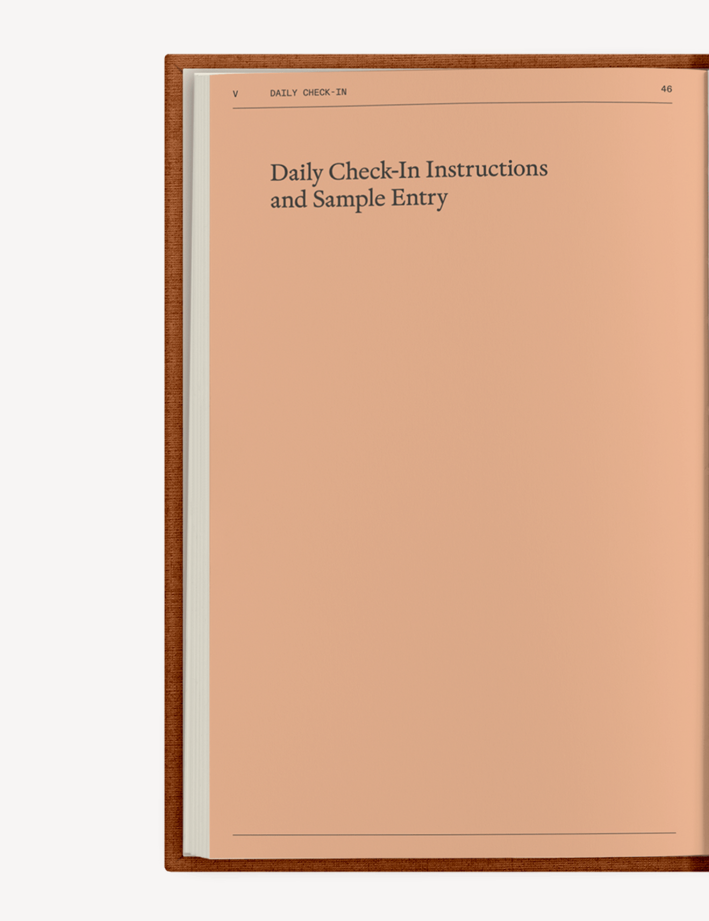 Therapy Notebooks The "Catalyst for Change" Journal Set