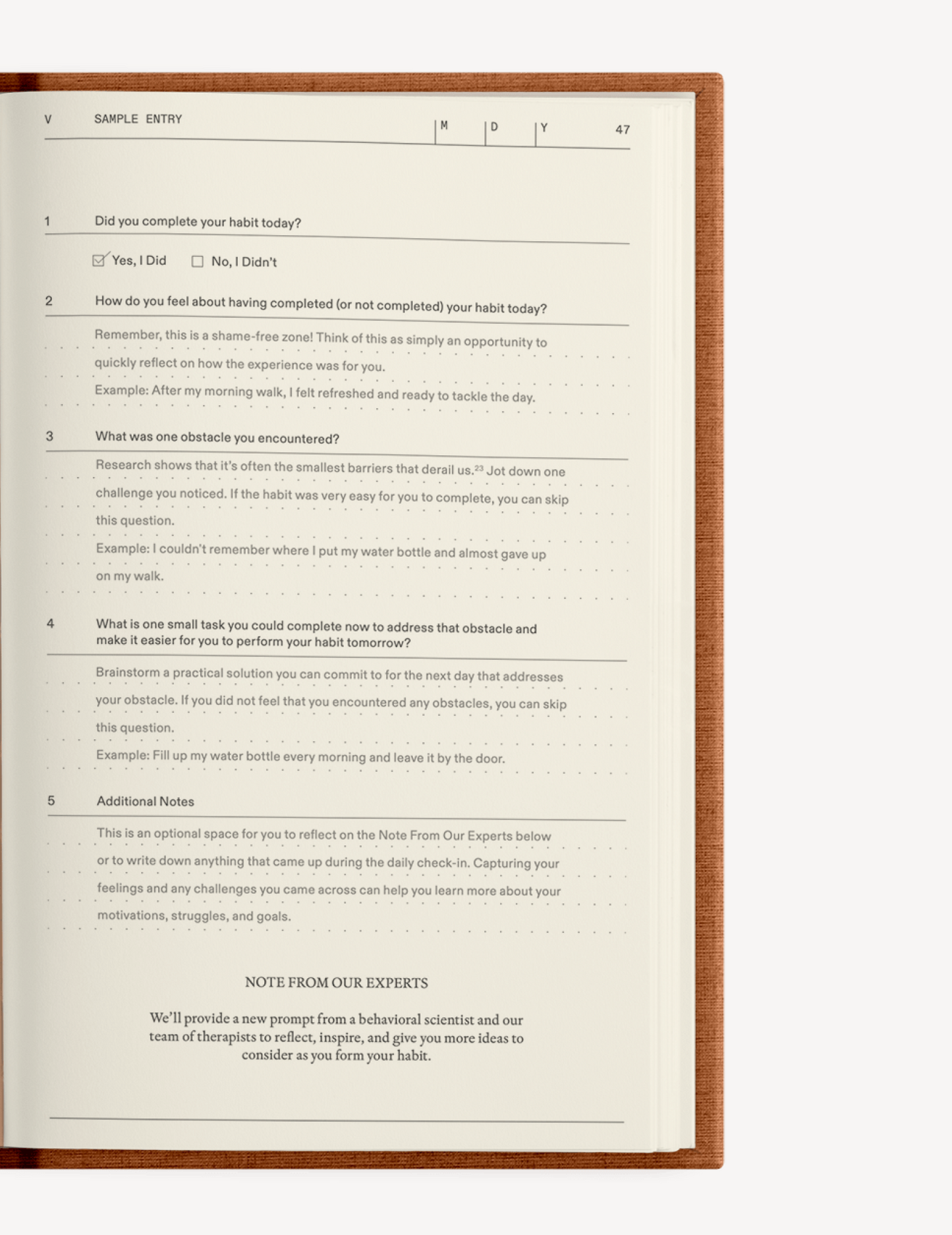 Therapy Notebooks The "Catalyst for Change" Journal Set