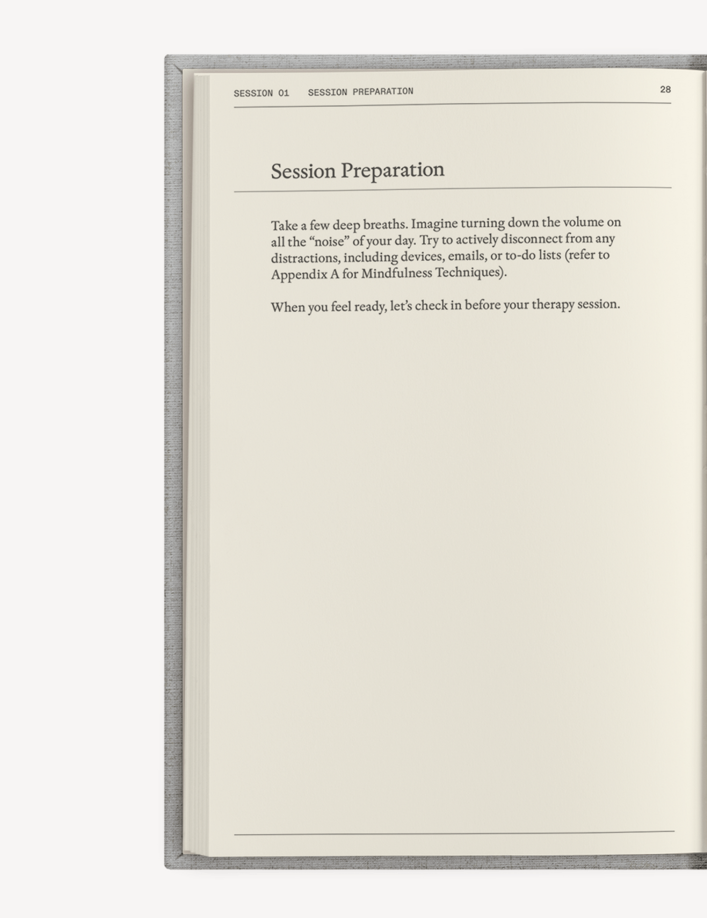 Therapy Notebooks The "Catalyst for Change" Journal Set