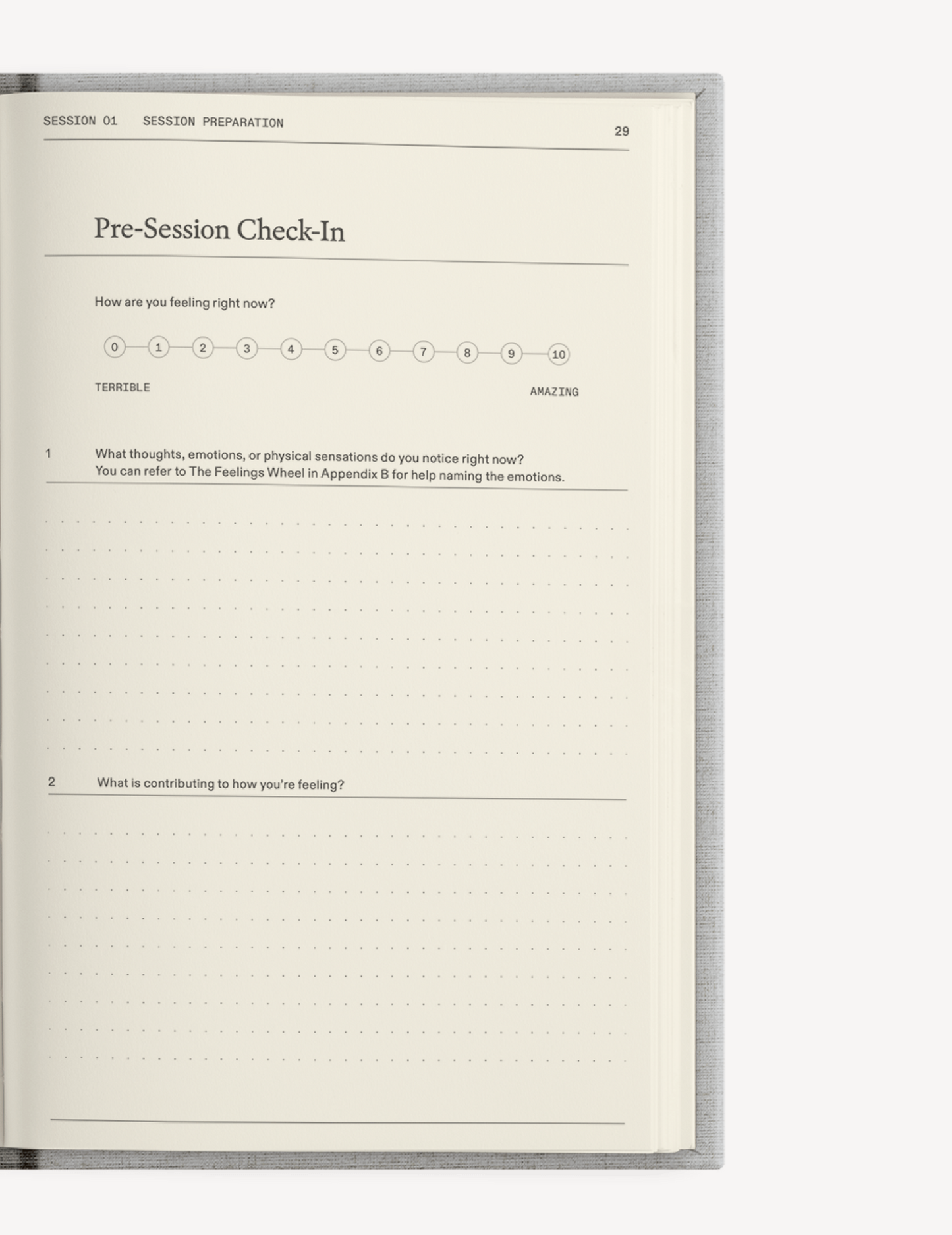 Therapy Notebooks The "Catalyst for Change" Journal Set