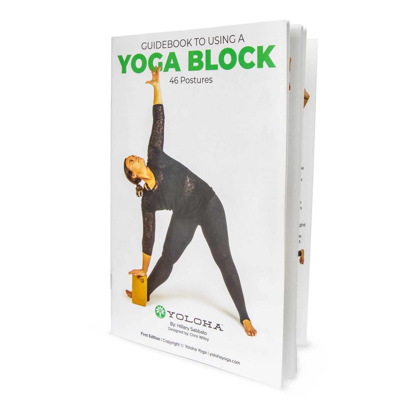 Yologa Yoga Artist Cork Yoga Block SET