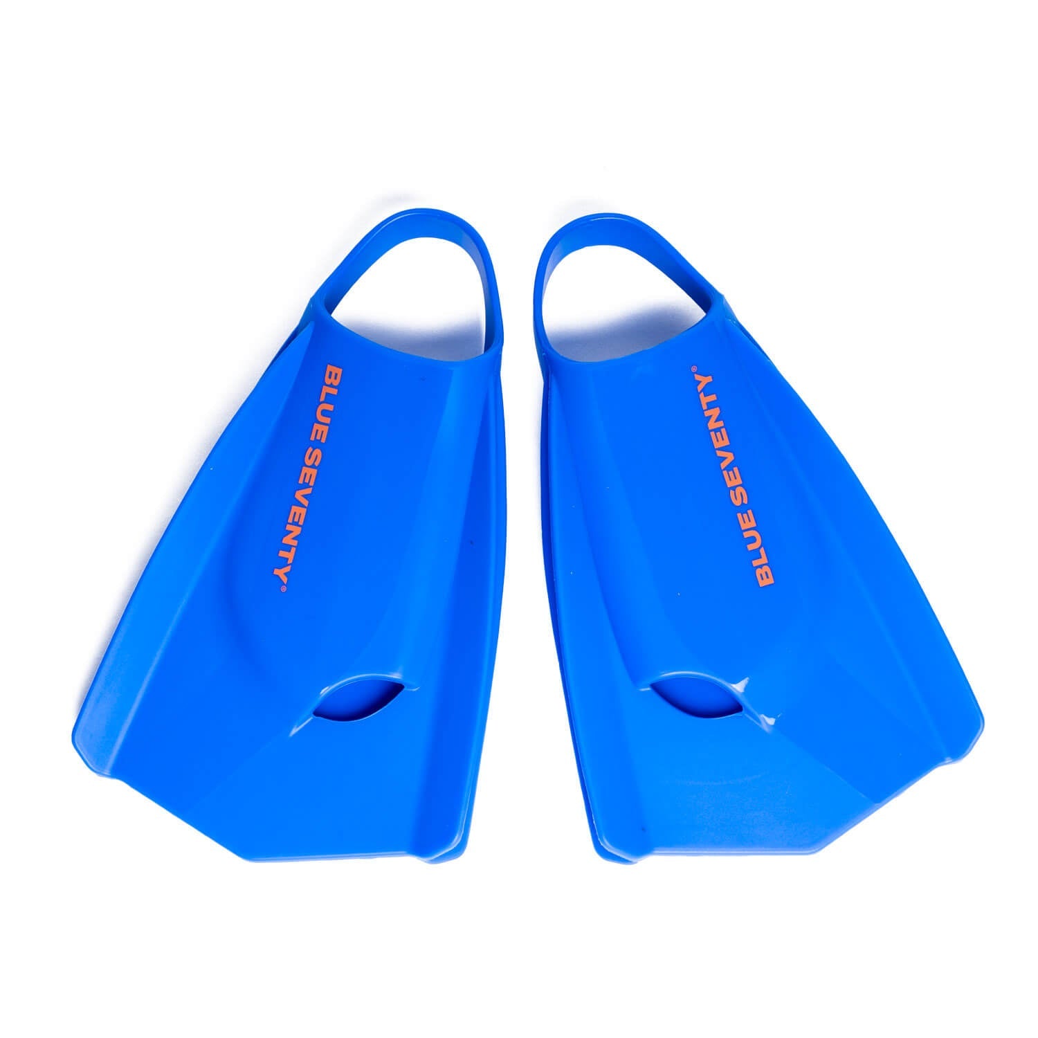 Synergie Fins