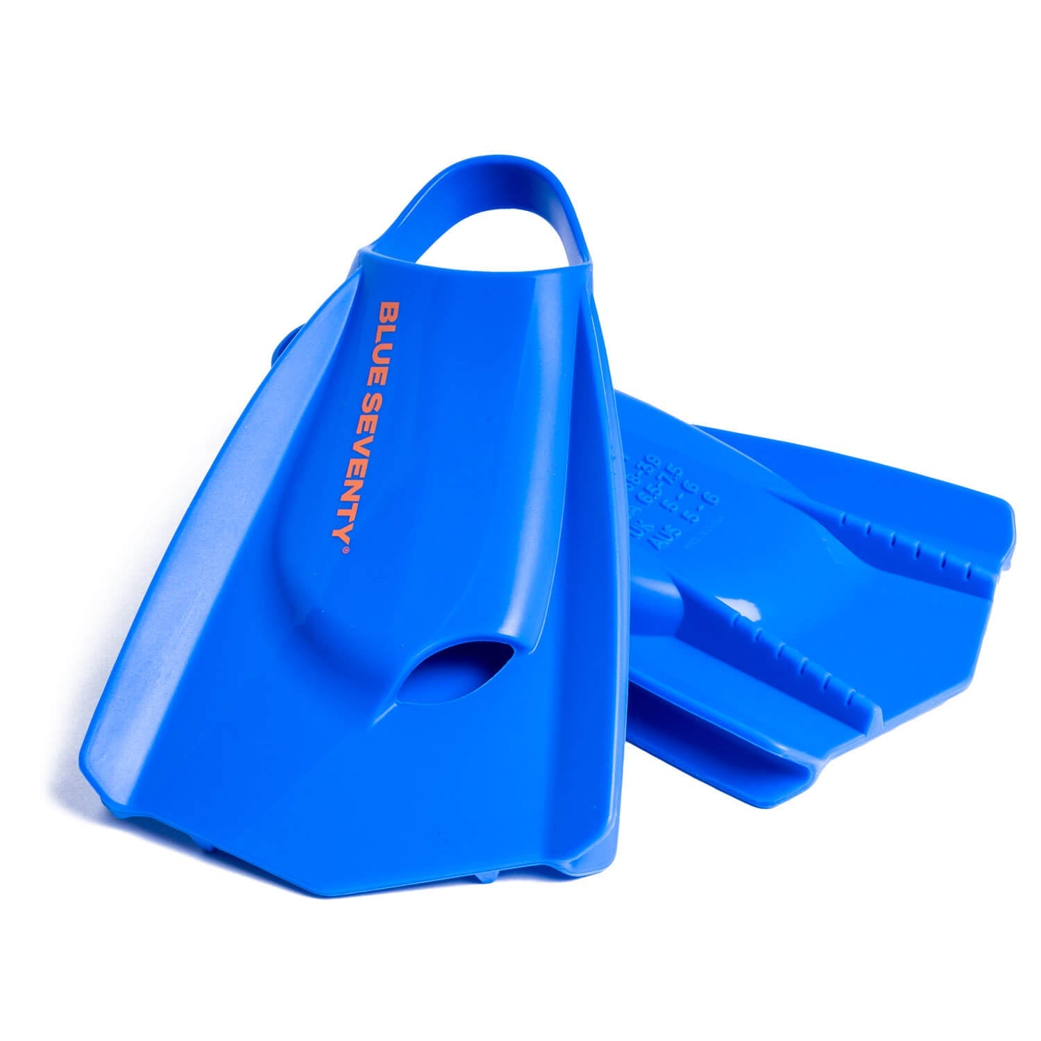 Synergie Fins