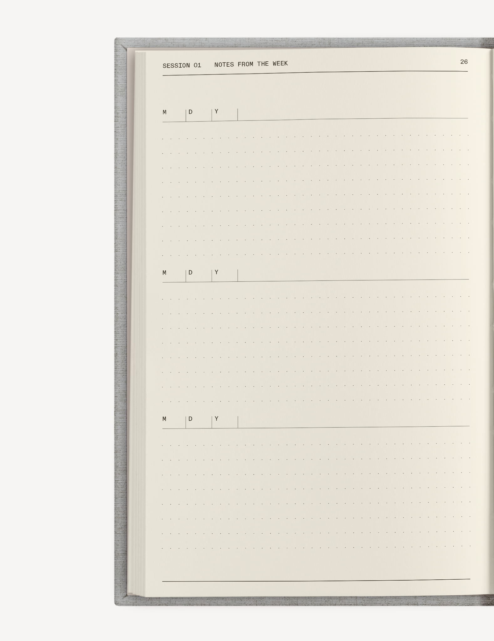 Therapy Notebooks The "Catalyst for Change" Journal Set