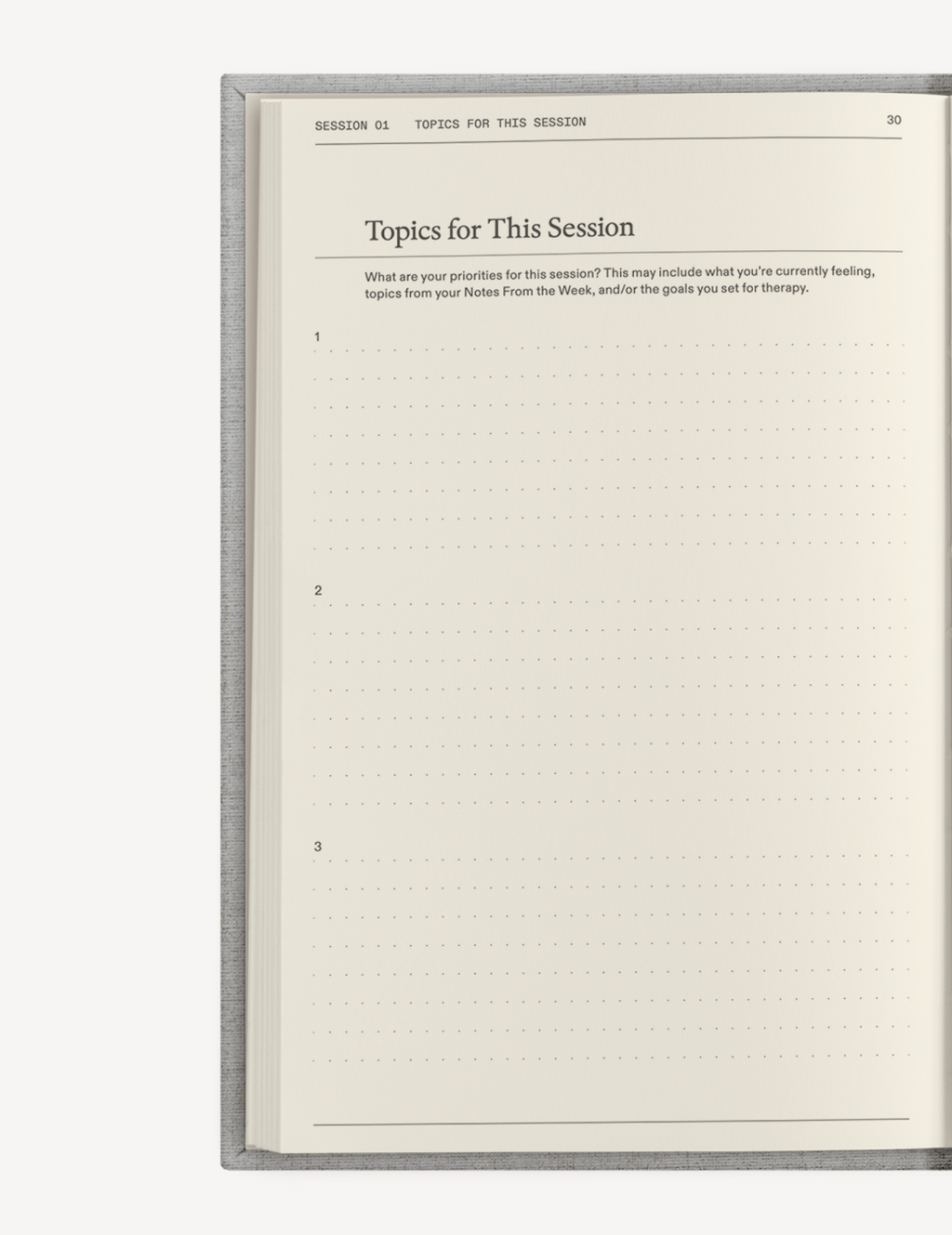 Therapy Notebooks The "Catalyst for Change" Journal Set