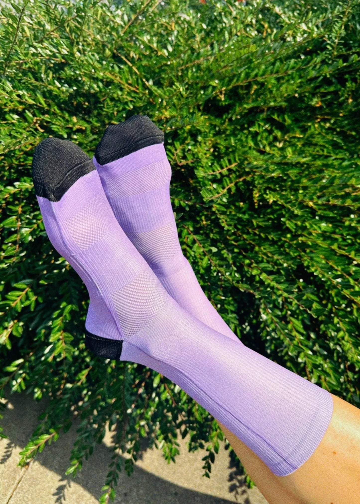 Samsara Cycle Performance Crew Socks -  Lavender